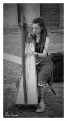 Music in Como, Basilca San Fedele 